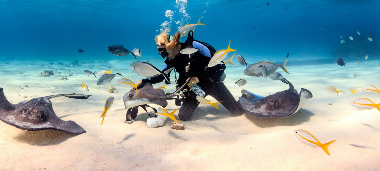 scuba