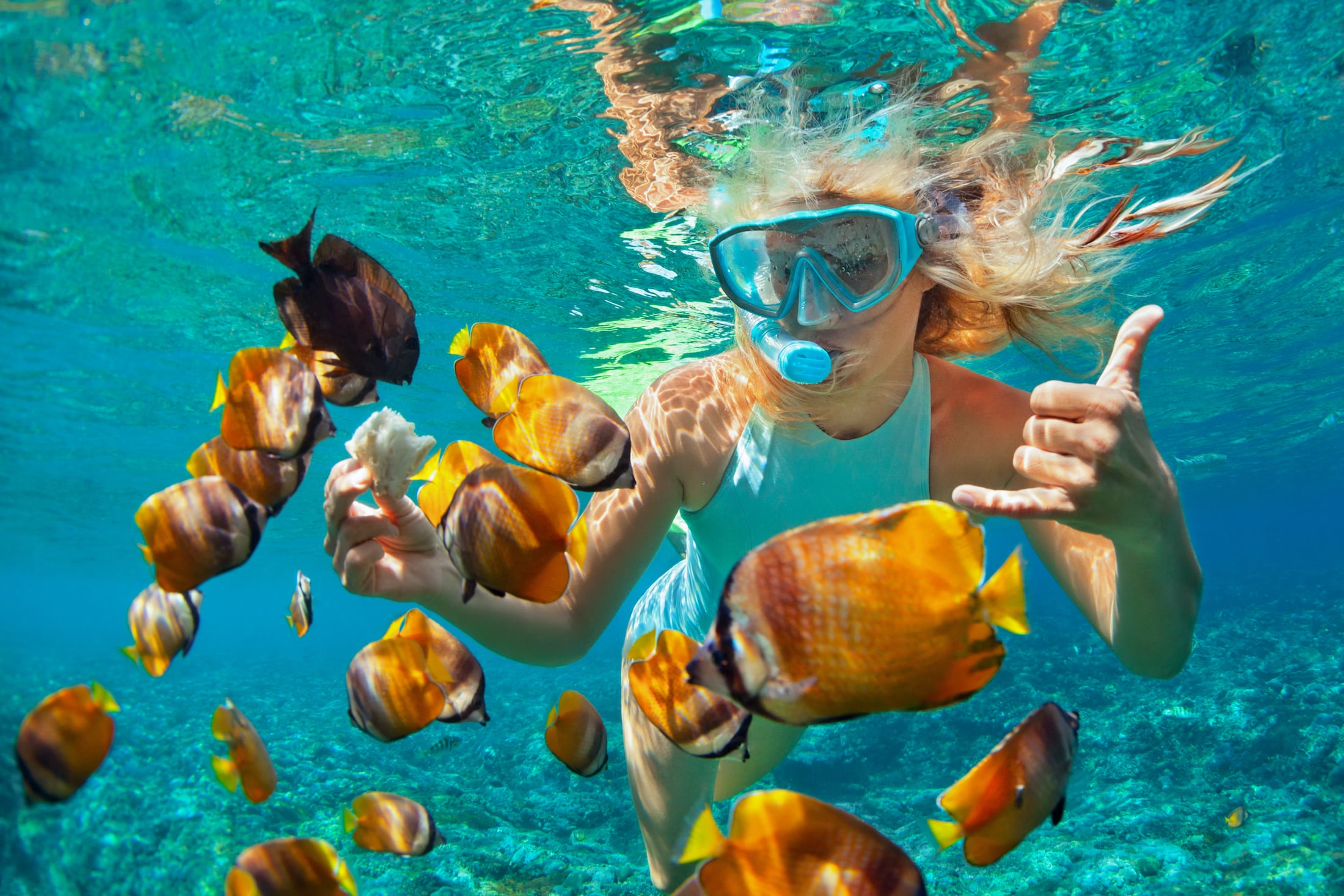 shutterstock_682950970
